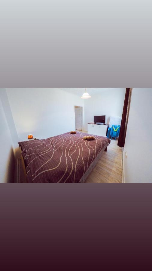 Apartmani Trajkovic Soko Banja Exterior photo